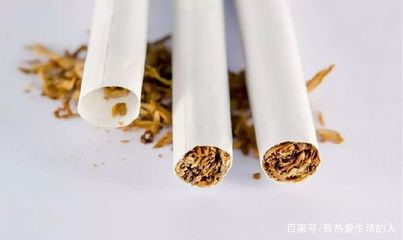 传统烟草 历史渊源与现代审视